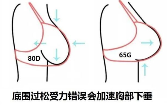 内衣设计研发